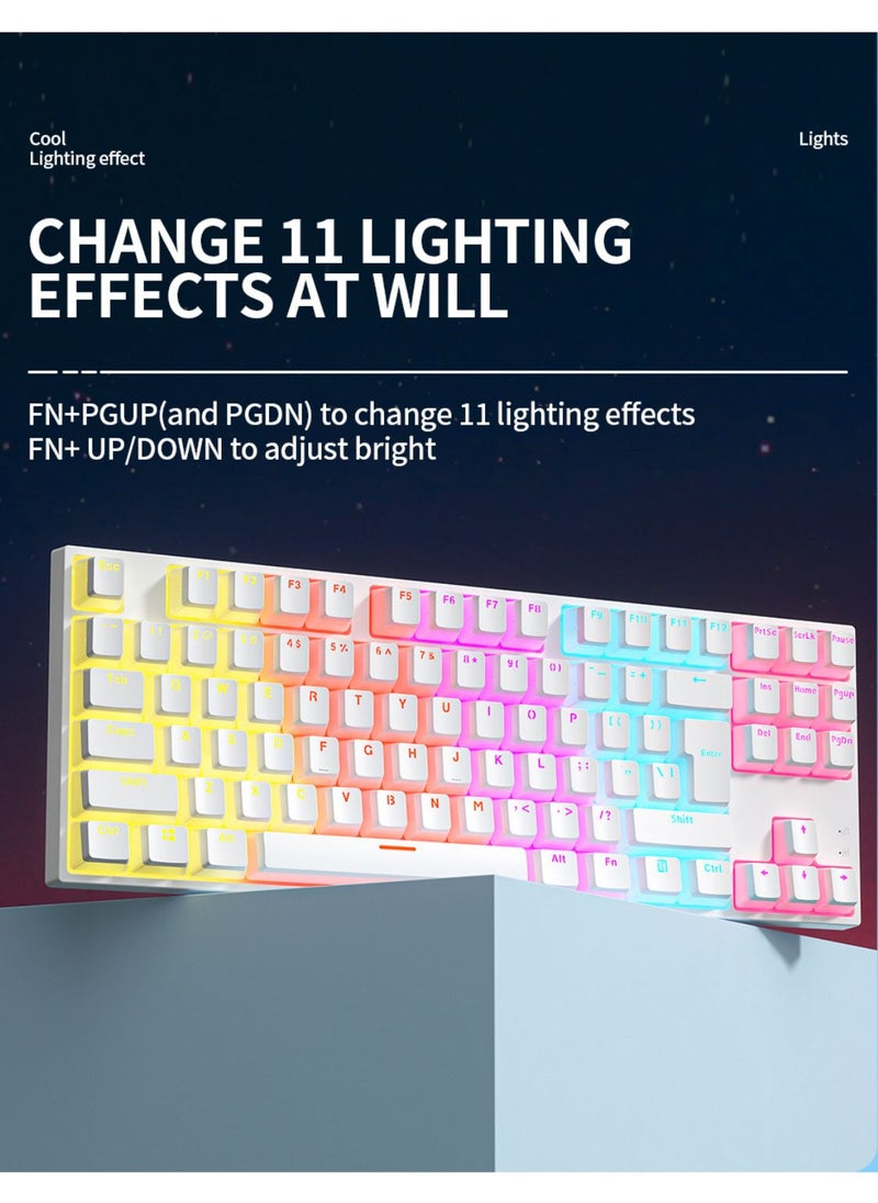 Generic - Mechanical Keyboard 87 Keys Blue Switch Pudding Keycaps RGB Backlit Wired Gaming Keyboard 25-Key Rollover Anti-Ghosting - White Blue Switch - Image 1