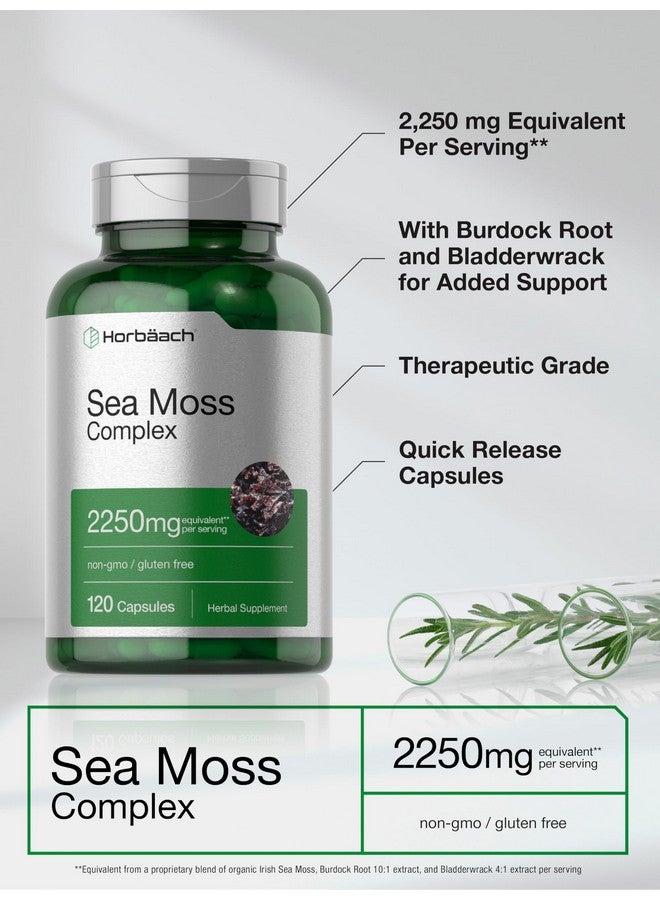 Horbäach Sea Moss Complex Capsules | 2250mg | 120 Count | Complex Formula with Bladderwrack & Burdock Root | Non-GMO & Gluten Free Supplement - Image 4