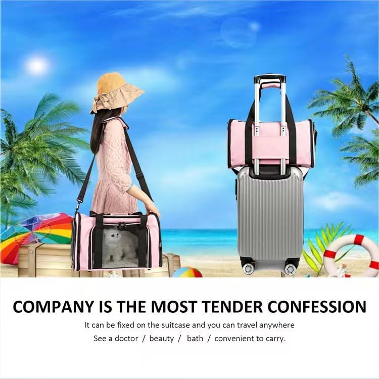ROSEBB Cat Carrier Dog Carrier Pet Carrier Cat Bags for Small Medium Cats Dogs Puppies of 15 Lbs,of Airline Approved Small Dog Bag Soft Sided,Collapsible Travel Puppy Carrier (Medium, Pink) - Image 5