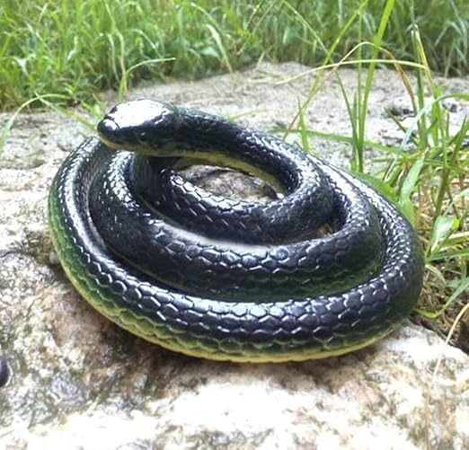 KRySt Brown Lizard and Black Fake Snake Combo Toys | Real Looking Rubber Lizard Toy | Original Look Chipkali Toy | Rubber Snake Prank Gadget for Kids and Adults (Lizard+Hooded Snake) - Image 3