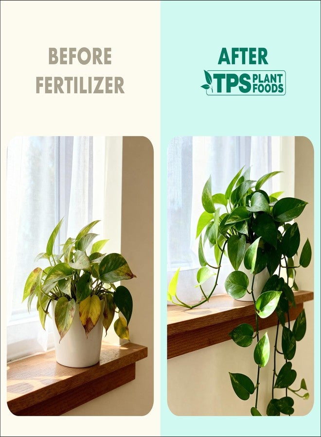 TPS NUTRIENTS سماد سائل من تي بي إس نيوترينتس، مخصص للنباتات المنزلية، 8 أونصة (250 مل) - Image 3