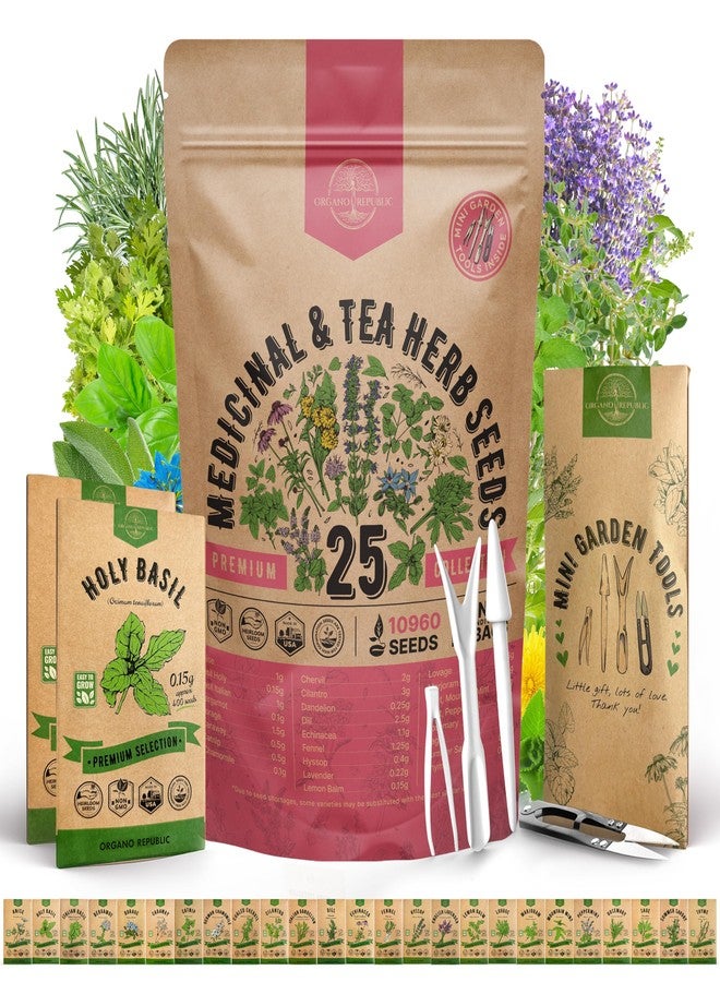 Organo Republic مجموعة متنوعة من 25 بذور الأعشاب الطبية والشاي من أورجانو ريبابليك للداخل والخارج. 10900+ بذور حديقة غير معدلة وراثيًا: يانسون، بوراج، كزبرة، بابونج، هندباء، إكليل الجبل، نعناع. - Image 1