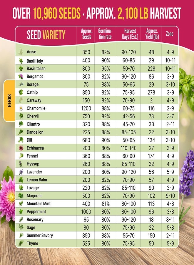 Organo Republic مجموعة متنوعة من 25 بذور الأعشاب الطبية والشاي من أورجانو ريبابليك للداخل والخارج. 10900+ بذور حديقة غير معدلة وراثيًا: يانسون، بوراج، كزبرة، بابونج، هندباء، إكليل الجبل، نعناع. - Image 3