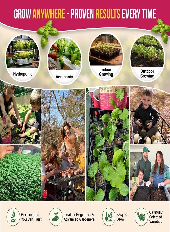 Organo Republic مجموعة متنوعة من 25 بذور الأعشاب الطبية والشاي من أورجانو ريبابليك للداخل والخارج. 10900+ بذور حديقة غير معدلة وراثيًا: يانسون، بوراج، كزبرة، بابونج، هندباء، إكليل الجبل، نعناع. - Image 4