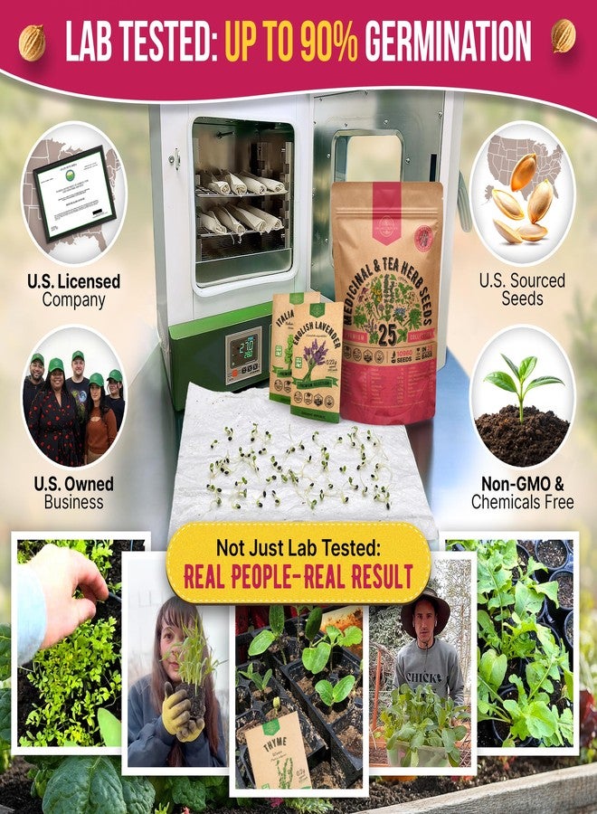 Organo Republic مجموعة متنوعة من 25 بذور الأعشاب الطبية والشاي من أورجانو ريبابليك للداخل والخارج. 10900+ بذور حديقة غير معدلة وراثيًا: يانسون، بوراج، كزبرة، بابونج، هندباء، إكليل الجبل، نعناع. - Image 2