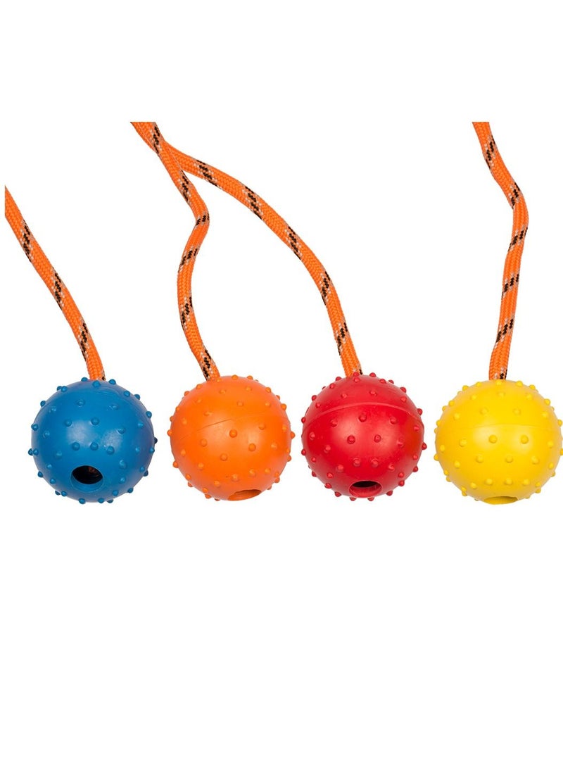duvo Plus Rubber Dental Ball With Rope Toy For Dogs Mixed Colors 33cm - Image 3