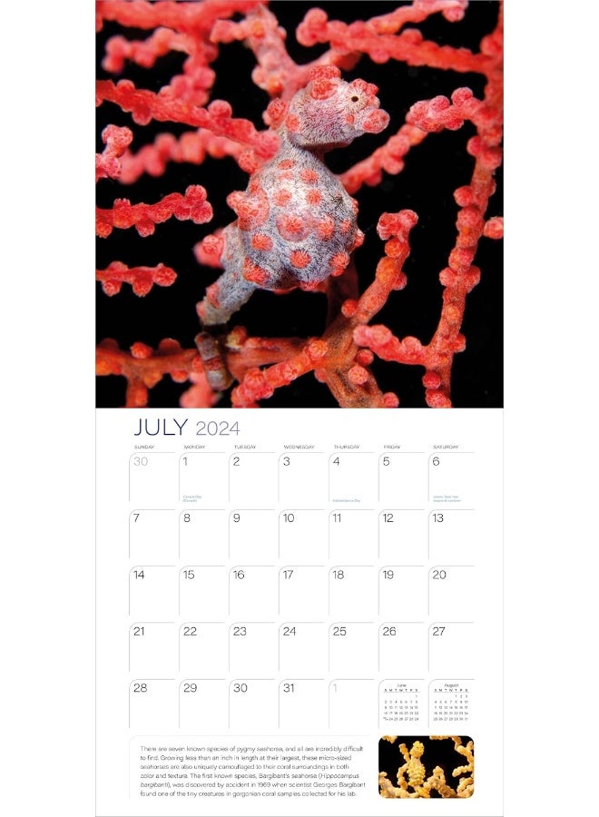 Ocean Unseen Wall Calendar 2024 - Image 3