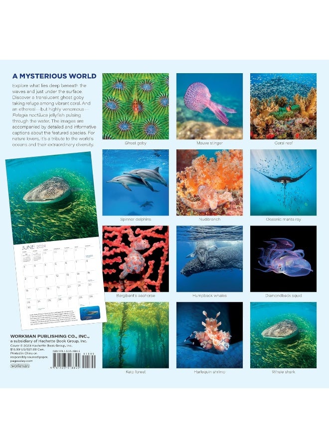 Ocean Unseen Wall Calendar 2024 - Image 1
