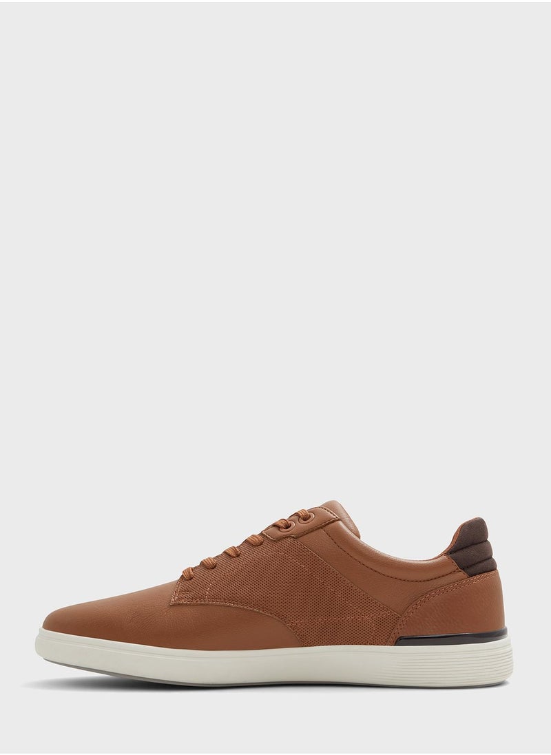 Rigidus Low Top Sneakers