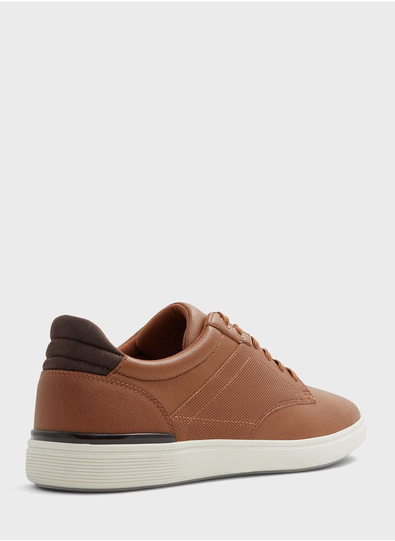 Rigidus Low Top Sneakers
