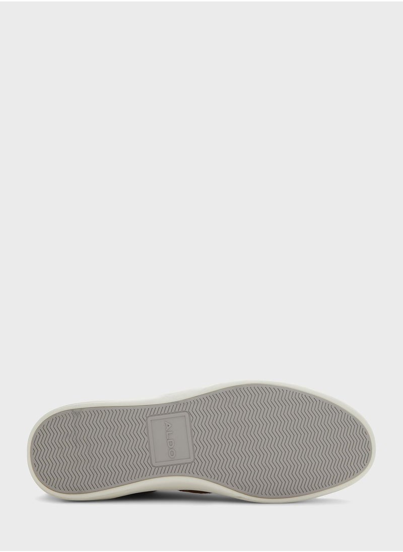 Rigidus Low Top Sneakers