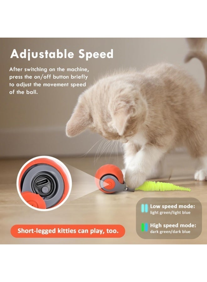 Cat Toy, Electric Cat Toy Ball – Automatic Interactive Rolling Ball with Replacement Tail, Self-Playing Smart Toy for Cats & Small Dogs (multi colour) - Image 2