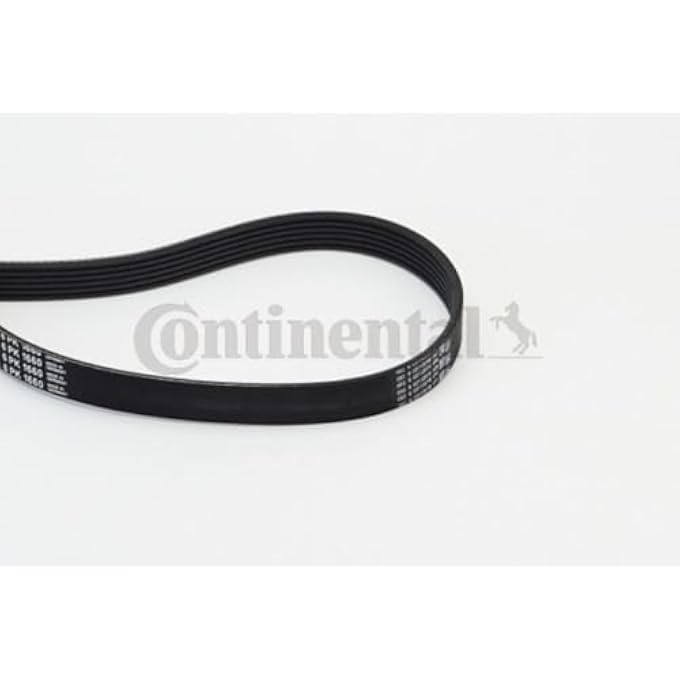 ريحني أضلاع كونتيننتال 6Pk1660 في كونتيتك VBelt - Image 3