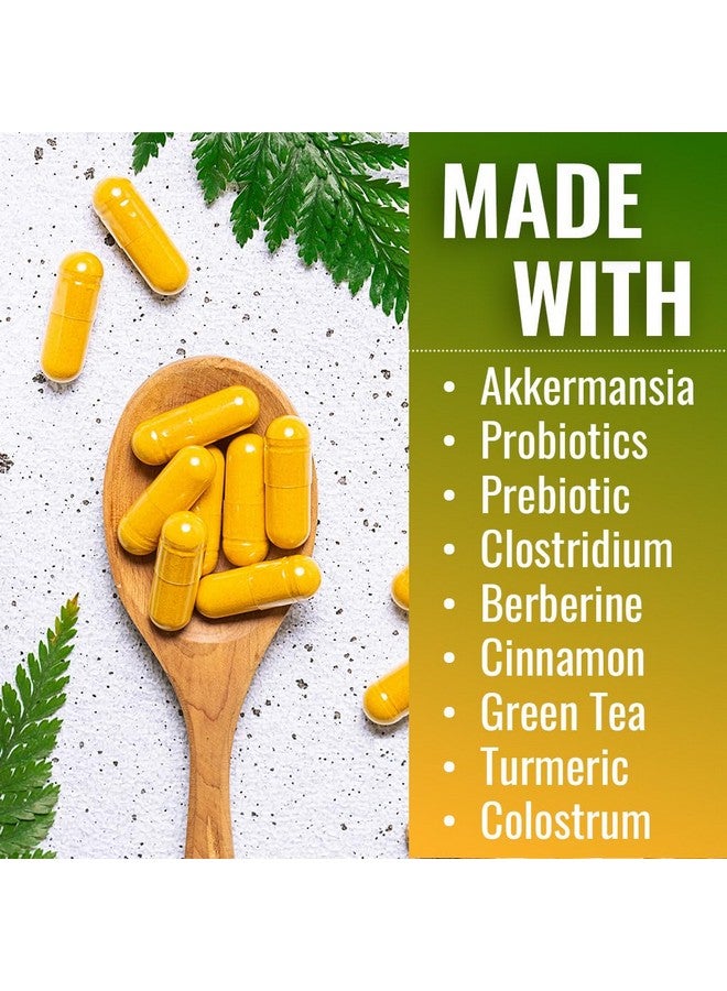 Vitamatic GLP-1 Support Supplement for Men & Women 60 Capsules - Made with Akkermansia, Probiotics, Prebiotic, Clostridium, Berberine, Cinnamon, Green Tea, Turmeric & Colostrum - Image 3