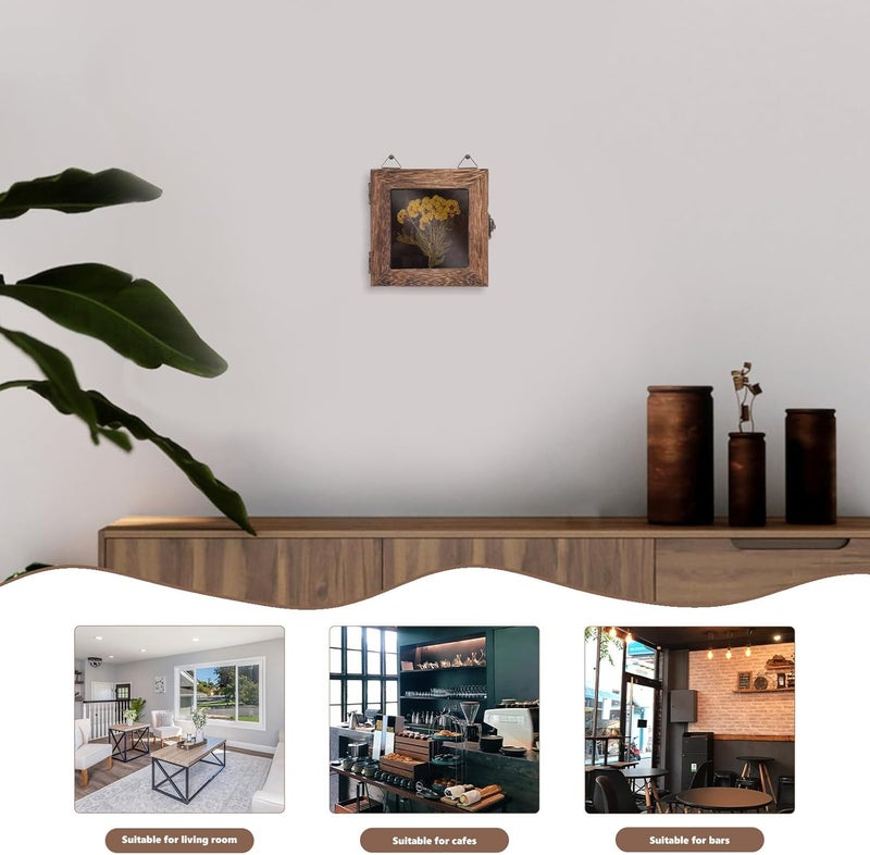 Insect Display Shadow Box 10x10x4.5cm Carbon Color Glass Specimen Frame with Hanging Hook for Butterfly and Dried Flower Preservation Home Décor - Image 4