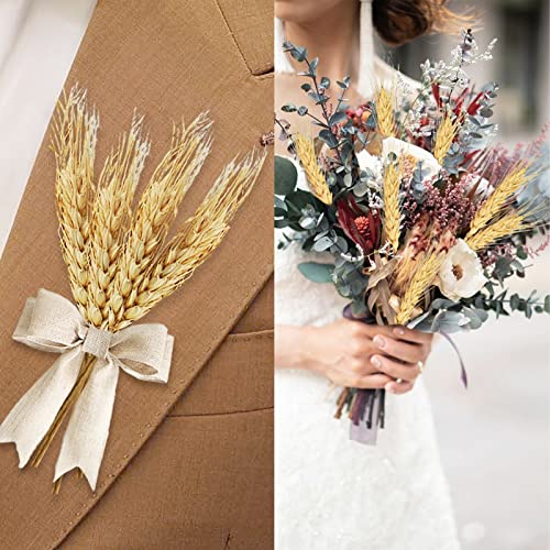 Phliofd 17.7 inches Dried Wheat Stalks, 100 Stems Dried Flowers 100% Natural Wheat for Home Kitchen Office Flowers Arrangement Wedding Table Farmhouse Boho Party Fall Décor - Image 3