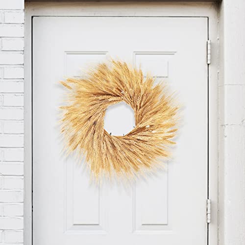 Phliofd 17.7 inches Dried Wheat Stalks, 100 Stems Dried Flowers 100% Natural Wheat for Home Kitchen Office Flowers Arrangement Wedding Table Farmhouse Boho Party Fall Décor - Image 4