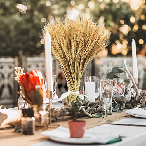 Phliofd 17.7 inches Dried Wheat Stalks, 100 Stems Dried Flowers 100% Natural Wheat for Home Kitchen Office Flowers Arrangement Wedding Table Farmhouse Boho Party Fall Décor - Image 5