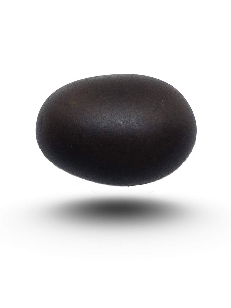 GangTarang Shaligram Shila | Nepal Gandaki River Saligram Stone (Black; Two Inch) - Image 1