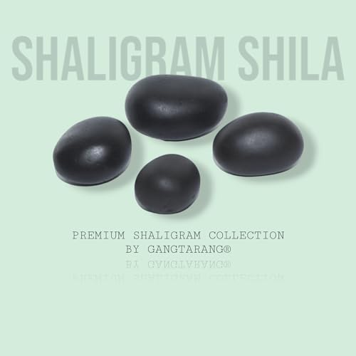 GangTarang Shaligram Shila | Nepal Gandaki River Saligram Stone (Black; Two Inch) - Image 3