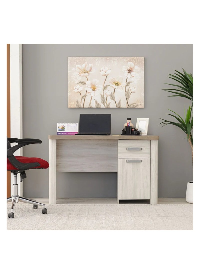 DANUBE HOME Olivos طاولة كمبيوتر مكتب مكتب محطة عمل حديثة للكمبيوتر المحمول طاولة ألعاب خشبية طاولة دراسة للمنزل وغرفة المعيشة وغرفة النوم 120 × 60 × 75 سم رمادي رمادي / بلوط  - Image 1