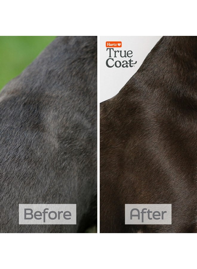 Hartz New! Hartz True Coat Short & Smooth Coat Specific Dog Shampoo, Soothes & Shines with Oat Milk, Coconut Oil & Vitamin E - Image 5