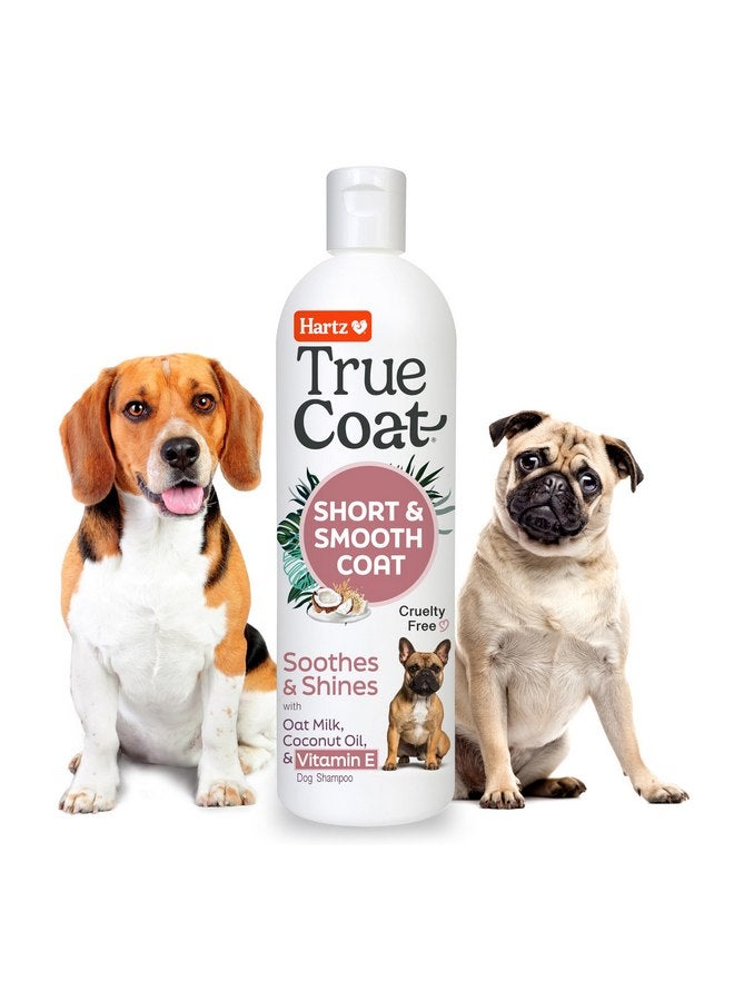 Hartz New! Hartz True Coat Short & Smooth Coat Specific Dog Shampoo, Soothes & Shines with Oat Milk, Coconut Oil & Vitamin E - Image 1