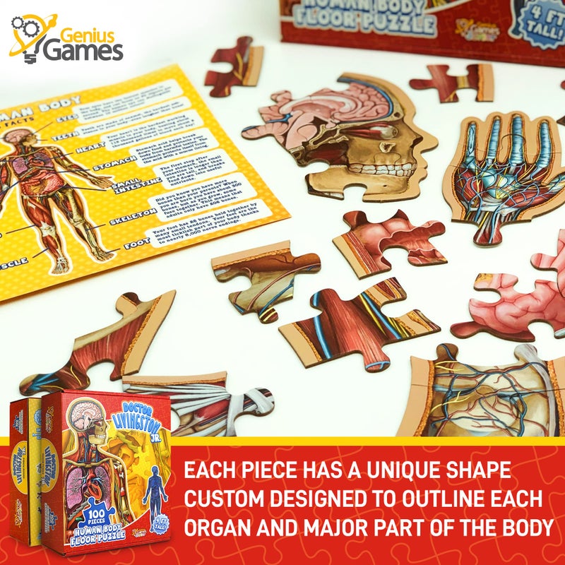 Genius Games Human Anatomy Kids Floor Puzzle - Dr Livingston Jr's 100-Piece Full Body Jigsaw Puzzle - 4 FT Medically Accurate Floor Puzzles for Kids Ages 6-8, 4-8, 8-10 - Educational Toys for Children, Toddlers - Image 4