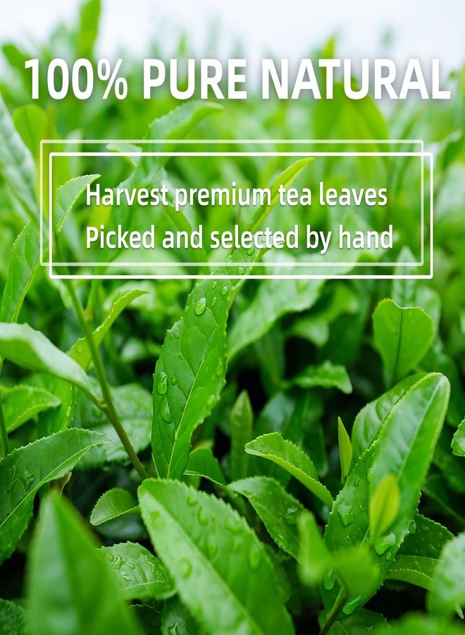 Teatree Ceremonial Grade Matcha (100g / 3.53oz), Organic Matcha Green Tea Powder, 100% Natural Pure Matcha for Lattes, Smoothies & Baking - Image 3