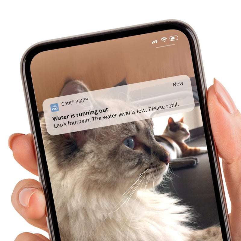 Catit PIXI Smart Water Fountain â€“ Automatic Cat Drinking Fountain with UV-C Clarifier Light and App Support,White - Image 4