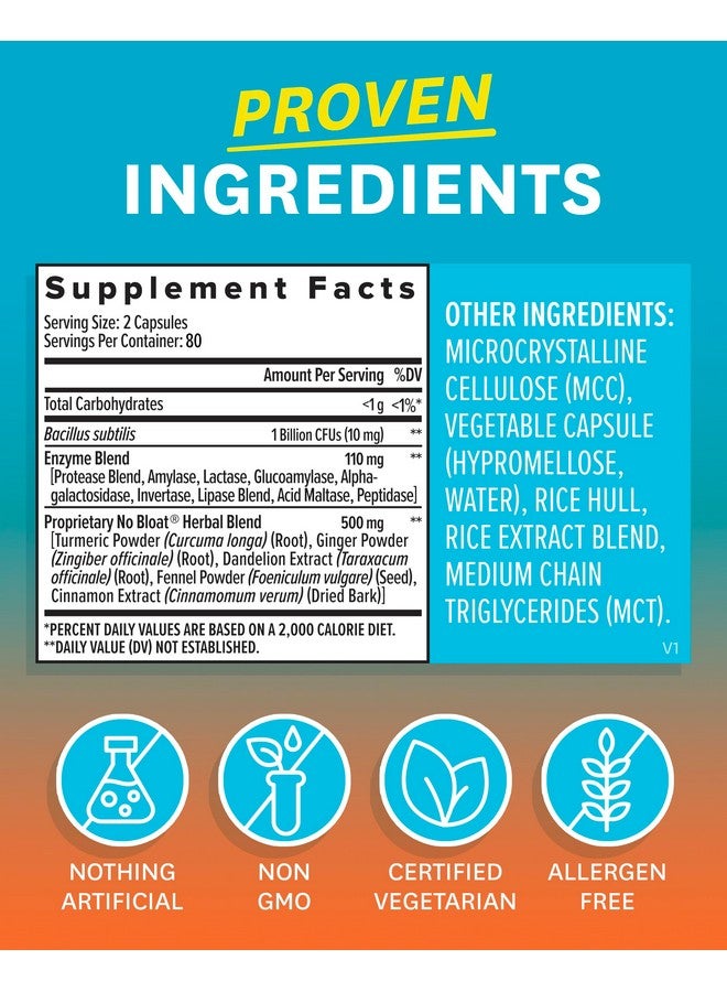 Zenwise Health NO Bloat Probiotics for Women and Men Digestive Health with Ginger, Dandelion, and Lactase, Digestive Enzymes for Gas and Bloating Relief - Vegan Water Retention Pills - 160 CT - Image 2