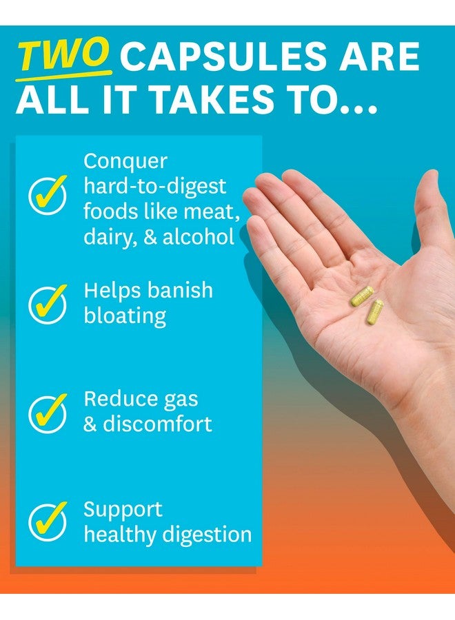 Zenwise Health NO Bloat Probiotics for Women and Men Digestive Health with Ginger, Dandelion, and Lactase, Digestive Enzymes for Gas and Bloating Relief - Vegan Water Retention Pills - 160 CT - Image 4