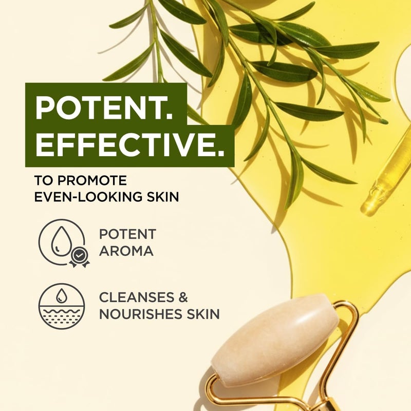 Gya Labs Tea Tree Essential Oil - 4 Fl Oz - for Hair, Skin, Diffuser, Aromatherapy & DIY Candle Making Scent - Image 3