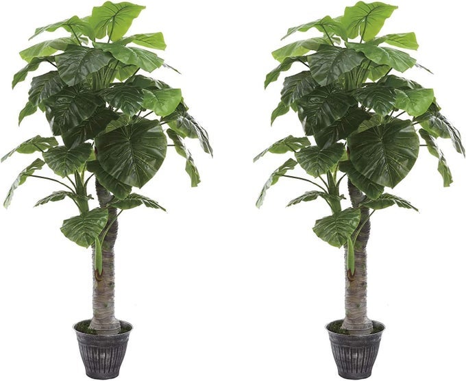 6 Feet Pair Gorgeous Unique Royal Hawaiian Elephant Ear Artificial Plant with Giant Leaves UV Protection Feel Real Technology Green 2 Tree