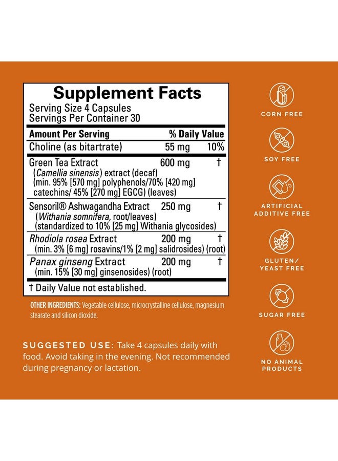 برينمد دكتور أمين BrainMD Focus & Energy - 120 كبسولة - معزز للقدرة العقلية، يعزز التركيز والانتباه - خالٍ من الكافيين والغلوتين - 30 وجبة - Image 2