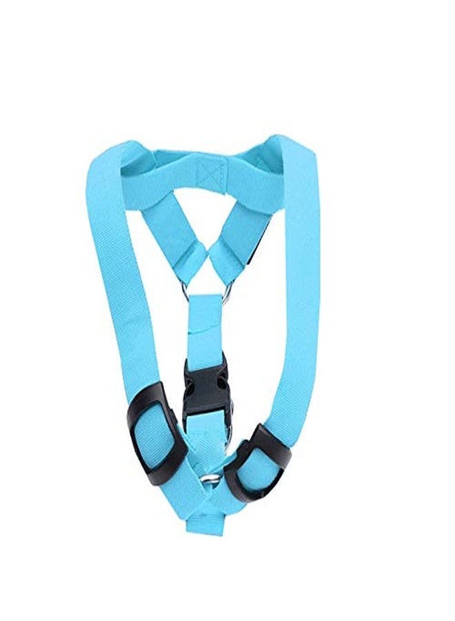 فوتابا ضوء وامض LED لحزام صدر الكلب من فوتابا، 3 أوضاع - أزرق - متوسط - Image 1