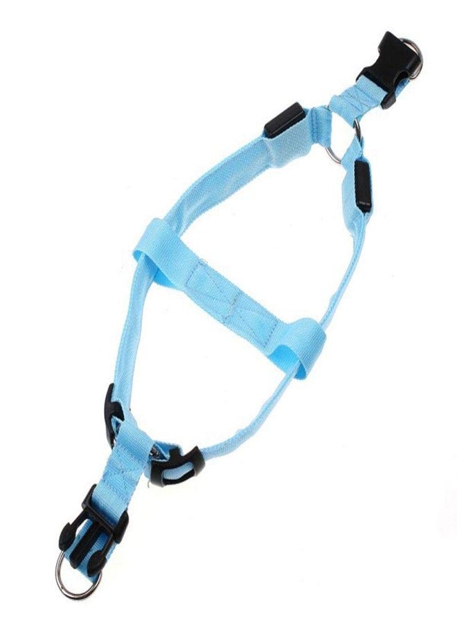 فوتابا ضوء وامض LED لحزام صدر الكلب من فوتابا، 3 أوضاع - أزرق - متوسط - Image 2