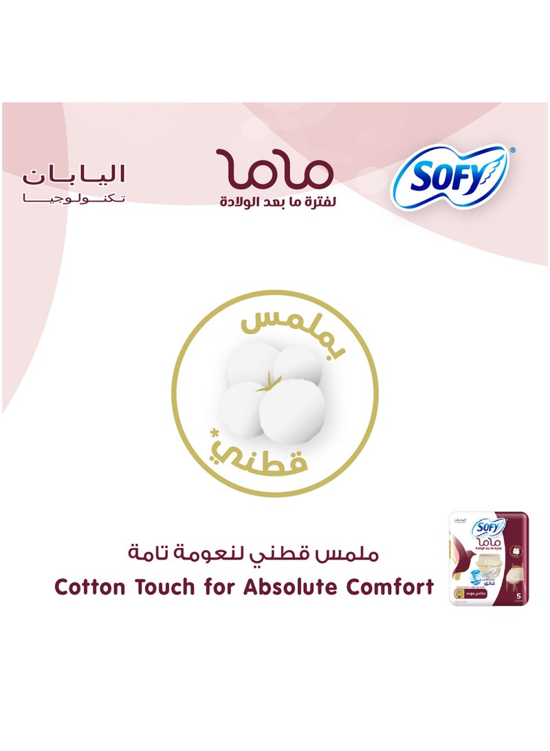 Sofy Mama Post-Birth Panties 5 Pcs - Image 3