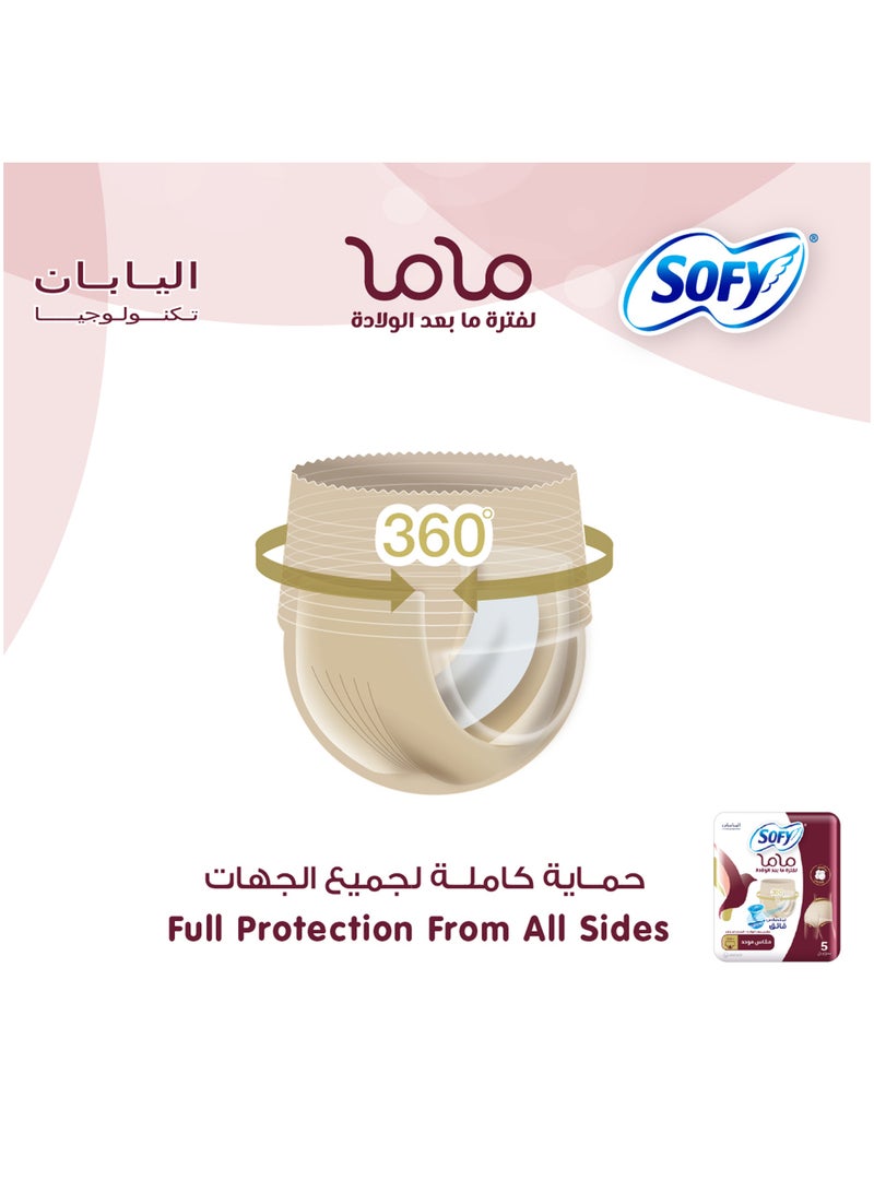 Sofy Mama Post-Birth Panties 5 Pcs - Image 5