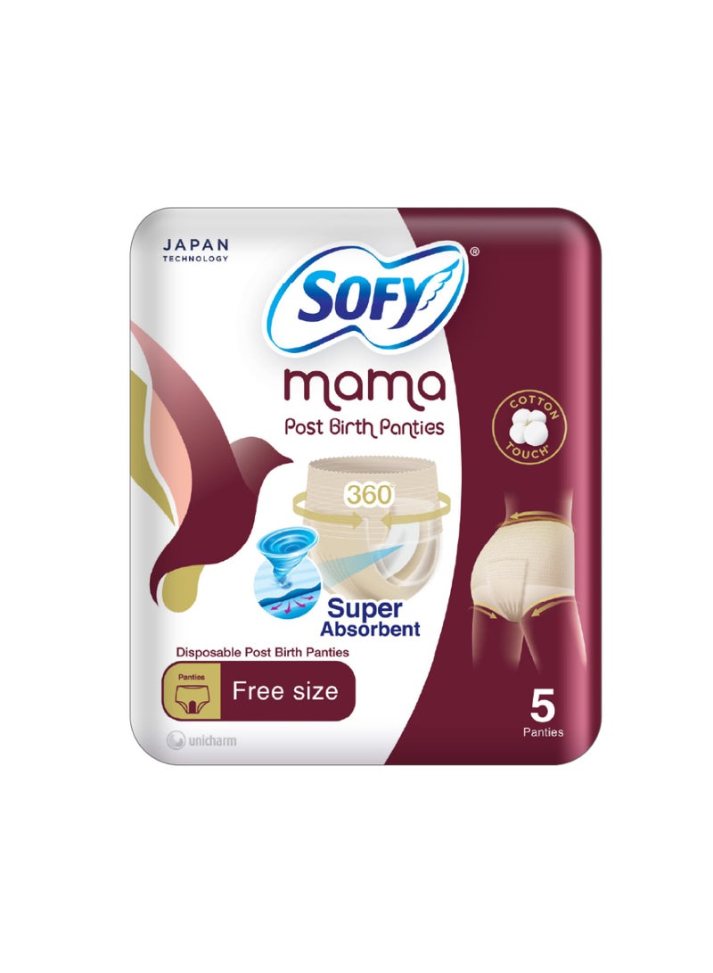 Sofy Mama Post-Birth Panties 5 Pcs - Image 1