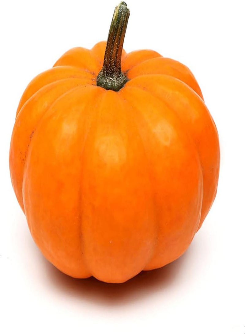 GGOOT 20Pcs Pumpkin Seeds Golden Yellow Vegetables Unique Garden Decoration Easy Planting Don't Need Much Care Enjoy The Joy of Harvest - Image 2