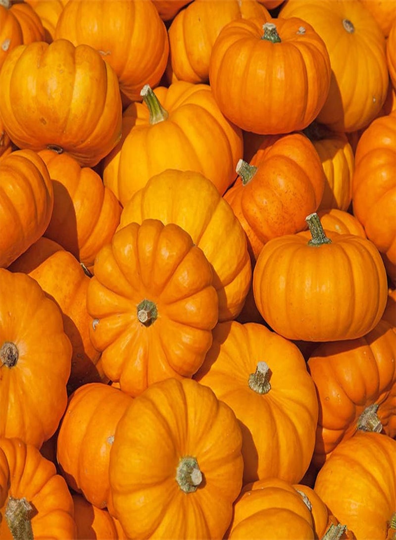 GGOOT 20Pcs Pumpkin Seeds Golden Yellow Vegetables Unique Garden Decoration Easy Planting Don't Need Much Care Enjoy The Joy of Harvest - Image 1