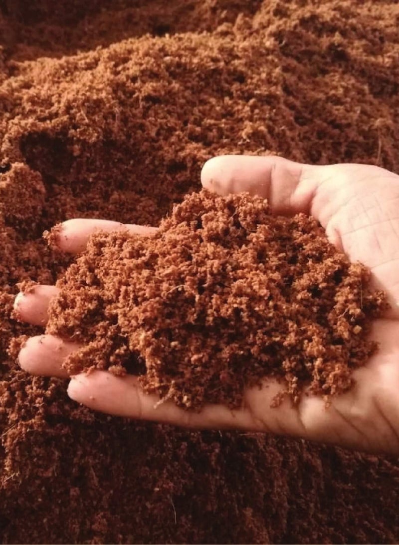 GROW Cocopeat 8L Bag - Image 1