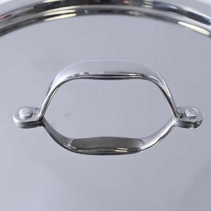 دانوب هوم طاجن سيلينا من الفولاذ المقاوم للصدأ مع غطاء من الفولاذ المقاوم للصدأ 25 مم، قدر غير لاصق من الفولاذ المقاوم للصدأ مع غطاء للمطبخ عرض 24 × ارتفاع 125 سم، فضي - Image 5