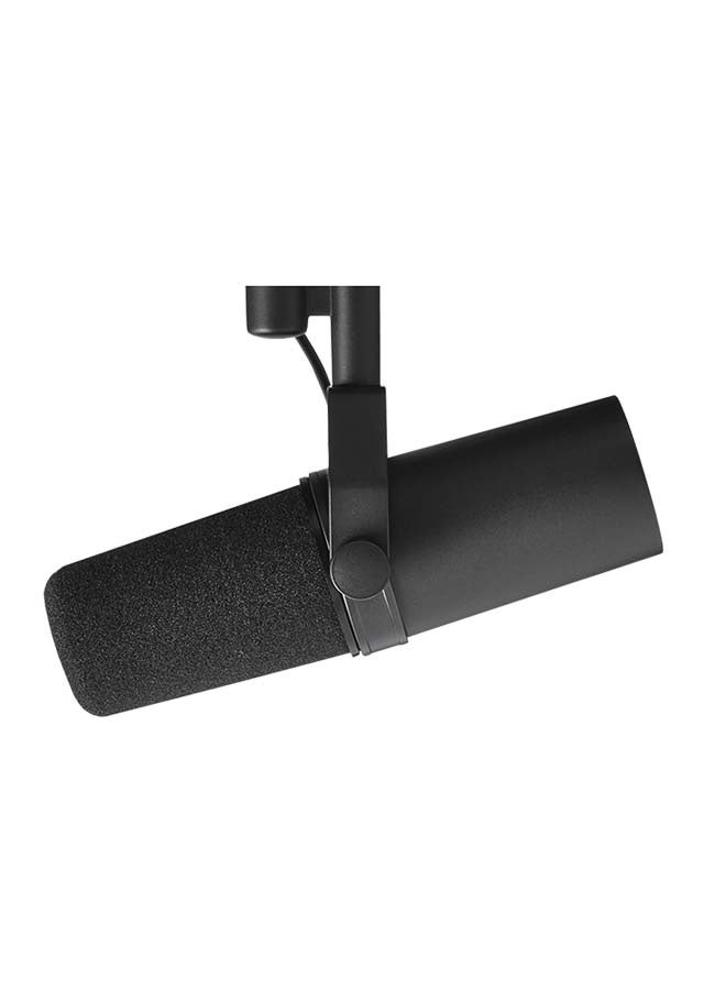 SM7B Microphone - Vocal Dynamic Studio Mic for Broadcast, Podcast, Recording, Gaming & Streaming, XLR, Rugged Construction, Detachable Windscreen, Smooth Sound, Warm Vocals, Wide-Range Frequency - Image 1