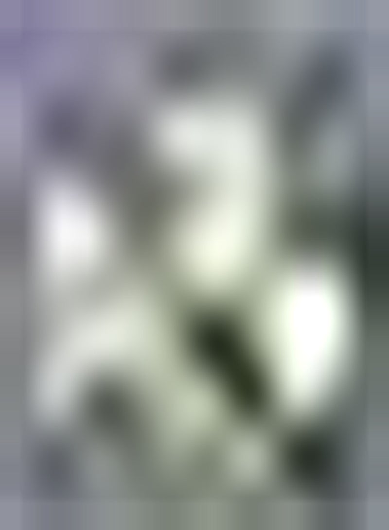 GGOOT 10Stück edle weiße Freesie Zwiebeln mehrjährige Blumenzwiebeln Topfpflanze Zwiebeln bringen Farbe in den Garten ziehen Bienenschmetterlinge an - Image 3