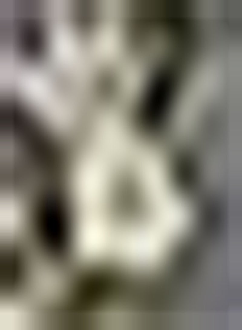 GGOOT 10Stück edle weiße Freesie Zwiebeln mehrjährige Blumenzwiebeln Topfpflanze Zwiebeln bringen Farbe in den Garten ziehen Bienenschmetterlinge an - Image 1