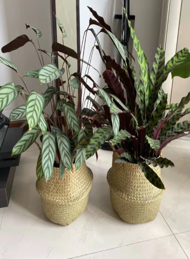 Handmade Woven Planter Round Shape Picnic Container Storage Basket Garden Flower Vase Plant Pots for Home Décor Vegetables Flowers Herbs Fruit Planting - Image 3