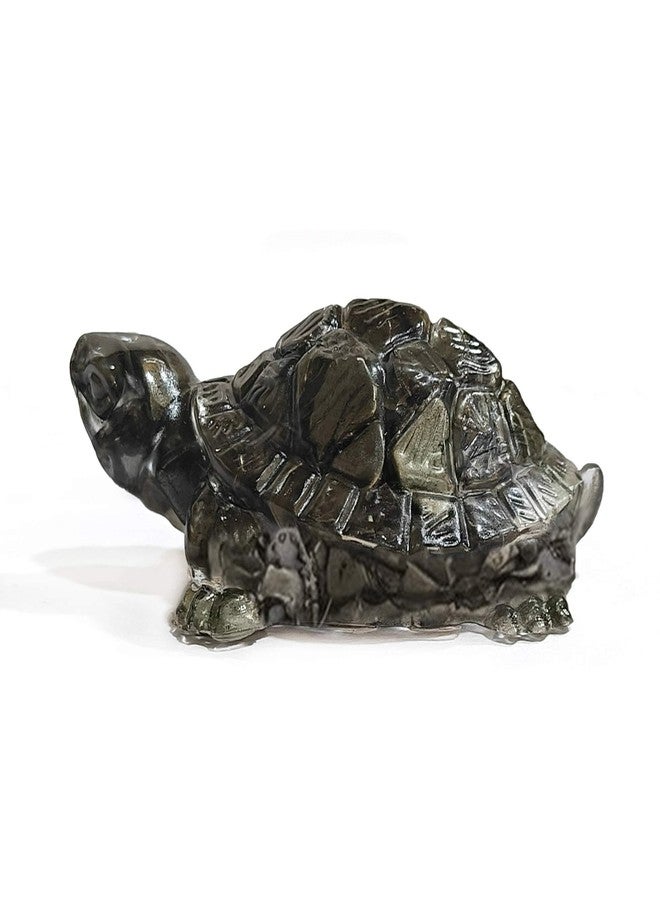 SOLAVA Natural Pyrite Tortoise (Kachhua) for Money, Vastu & Feng Shui Pyrite Crystal Turtle for Wealth, Success & Protection - AAA Quality Energised Crystal Tortoise for Home, Office & Gift - Image 1