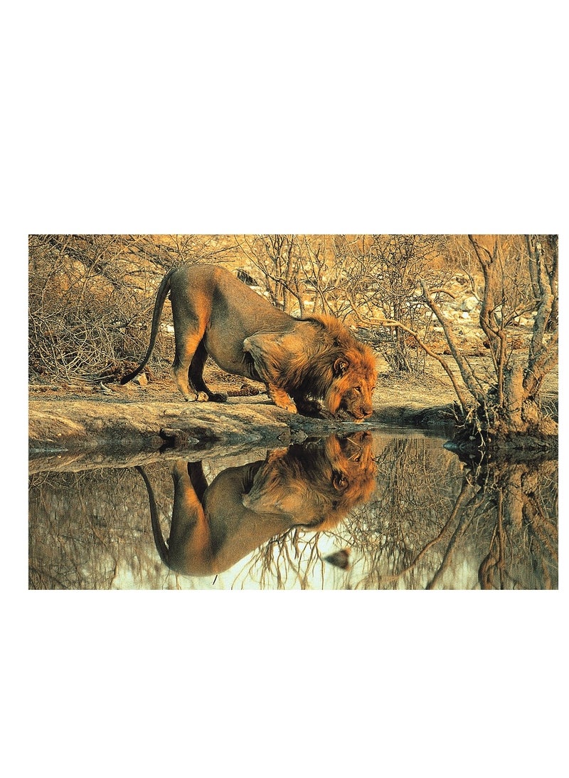 توماكس بازل ذكر الأسد 1000 قطعة - 100-148 - Image 2